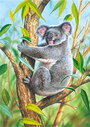 Castorland puzzle sestavljanke 24 mini - Koala