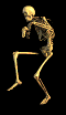 MINI SKELETON - OKOSTNJAK