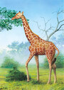 Castorland puzzle sestavljanke 24 mini - Žirafa