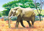 Castorland puzzle sestavljanke 24 mini - Slon