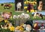 JUMBO PUZZLE  Sestavljanke 1000  " Živali na kmetiji "