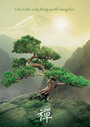 RAVENSBURGER PUZZLE Sestavljanke 1000 Drevo Zen " Bonsai "