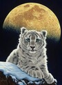 GRAFIKA PUZZLE Sestavljanke 2000 Art by: Schim Schimmel   " Lunin Leopard "