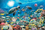 Ravensburger Puzzle Sestavljanke 5000 Ocean " Koralni greben "