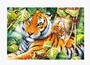 Trefl puzzle sestavljanke 1500 Tiger  " Tigra "