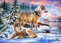 CASTORLAND PUZZLE Sestavljanke 500 Volk  " Volčja čudežna dežela "